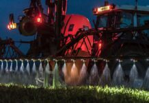 Gerste und Weizen standfest und gesund zur Ernte bringen