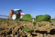 Mit Spritze und Striegel bleiben Sojabohnen unkrautfrei