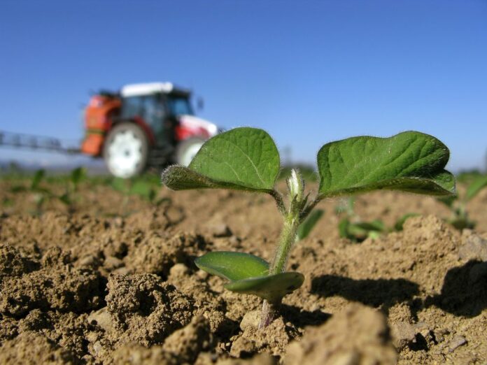 2416 0601w Soja Herbizid