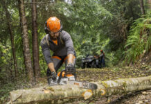 Bei jedem Wetter sägen!