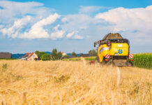Bauerneinkommen waren 2023 wieder deutlich geringer