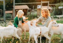 Hofmanagerin, Unternehmerin, Netzwerkerin und vieles mehr