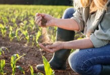 Landwirtschaft in Zeiten des Klimawandels