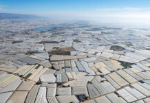 Unter Plastik: Kampf mit negativen Schlagzeilen