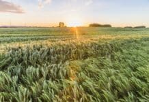 Österreichs Äcker werden digital