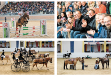 Traditionelle Show „Heiße Eisen“ für die Zukunft des Pferdesports