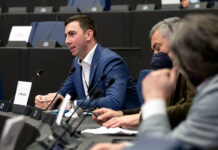 Blaue verweigerten im EU-Parlament Zustimmung für Honig-Kennzeichnung