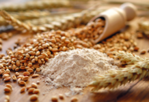 Getreidetechnologie: Innovative Lösungen für Backwarenbranche