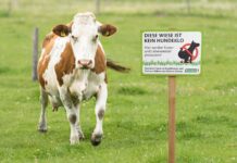 Eine Wiese ist kein Hundeklo