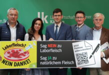 Kärnten macht mobil gegen Fleisch aus dem Labor