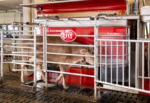 Lely Astronaut A5 ist Österreichs führender Melkroboter