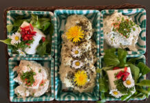 Frische Kräuter aus dem Garten bringen Kraft und Genuss