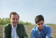 Heuer besonders früher Erntestart für die weißen und grünen Stangen