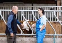 Berufswunsch Tierarzt – Summer School gibt Einblick