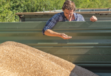 Herkunft und Qualität besiegeln, Preis sichern