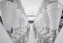 LLI wieder zurück auf ihrem Erfolgskurs