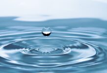 Arge-Alp-Preis 2024: Ressource Wasser im Fokus