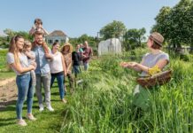 Arche Noah sieht Vielfalt durch Saatgutrecht bedroht