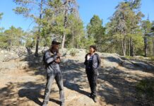 Der Holzbau hat schwedische Wurzeln