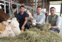 Weltbauerntag am 1. Juni: Große Wertschätzung für Bauern