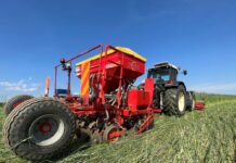 Soil Evolution: Was der Pflug kann, das kann die Begrünung noch besser