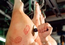 Das AMA Gütesiegel-Schwein braucht neue Abstufungen