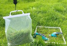 Futterertrag: Gefühl ist gut, genau messen ist besser