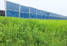 Agri-PV am Sprung von der Theorie in die Praxis