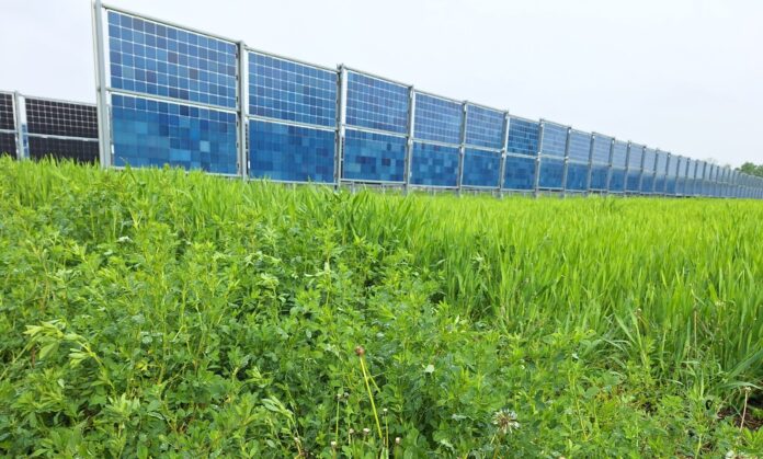 Bifaziale PV-Anlage