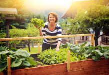 Das große Hochbeet-Buch
