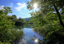 Umstrittenes Renaturierungsgesetz: Offener Brief eines Betroffenen