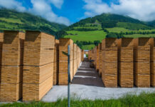 Sichtbare Flaute im Holzsektor