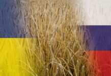 Ukrainischer Weizen als Kriegsbeute
