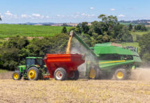 Heurige Welt-Sojaernte soll alle Rekorde brechen