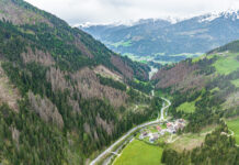 Gemeinsame Kraftanstrengung für klimafitten Bergwald in Osttirol