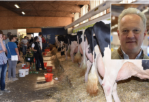 AgroTier 2024: „Noch mehr Fachkompetenz“