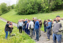 Zahl der landwirtschaftlichen Betriebe ist stabil