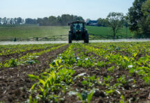 Flaute im Herbizidgeschäft
