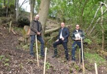 Tag der biologischen Vielfalt: Klimafitte Waldbewirtschaftung stärkt Artenreichtum