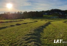 Im Grünland steckt großes Potential für die Erzeugung von Rohprotein!