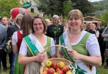 Steirische Obsthoheiten