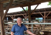 Braunviehzüchter aus Leidenschaft