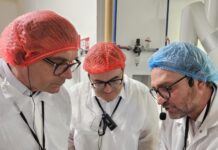 Vom fruchtbaren Boden zum gesunden Korn