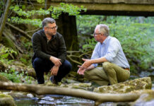 Schon mehr als 500 Renaturierungs-Projekte in Niederösterreich umgesetzt