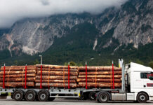 Weniger importiertes Nadelsägerundholz