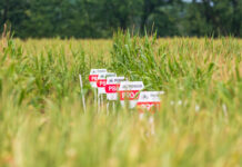 Agrochemiekonzern feiert fünfjähriges Bestehen
