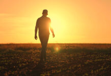 Jungbauern über Gewessler: „Mehr Aktivistin als Politikerin“