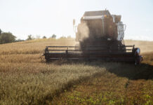 Brüssel zieht Getreide-Notbremse