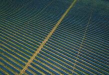 Landraub wirft Schatten auf Brasiliens Ausbau der Erneuerbaren