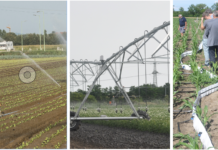 Wassermanagement braucht Know-how